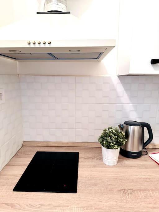 F2 Ultra Central Danube Loft Budapest Extérieur photo